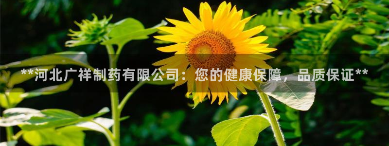 九游会老哥必备的交流社区九：**河北广祥制药有限公司：您的健康保障，品质保证**