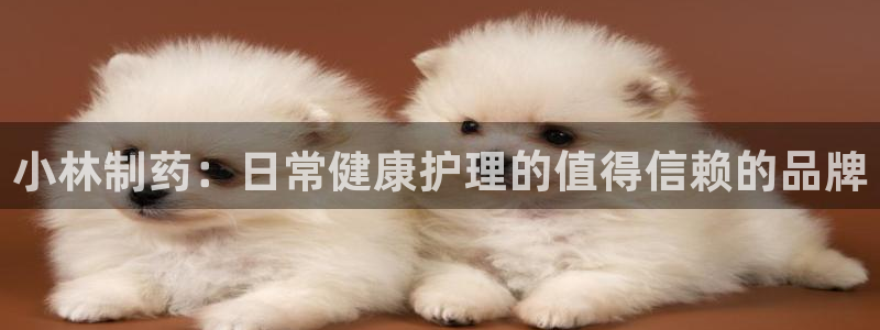 usdt九游会老哥俱乐部：小林制药：日常健康护理的值得信赖的品牌