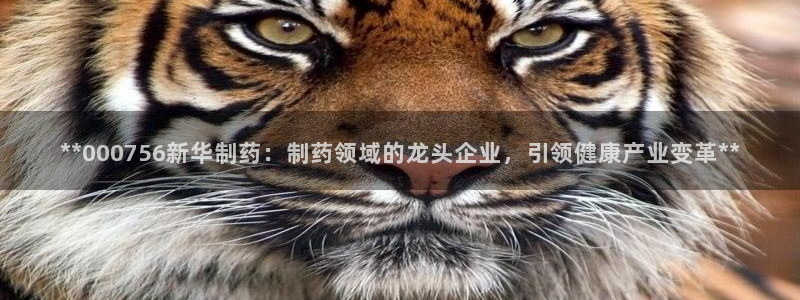 ag九游老哥俱乐部：**000756新华制药：制药领域的龙头企业，引领健康产业变革**