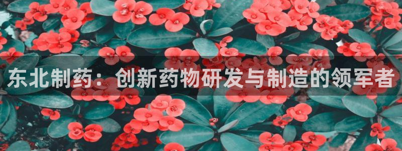 老哥俱乐部是干什么的啊：东北制药：创新药物研发与制造的领军者