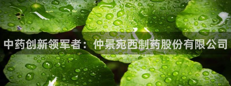 九游会老哥俱乐部交流社区：中药创新领军者：仲景宛西制药股份有限公司