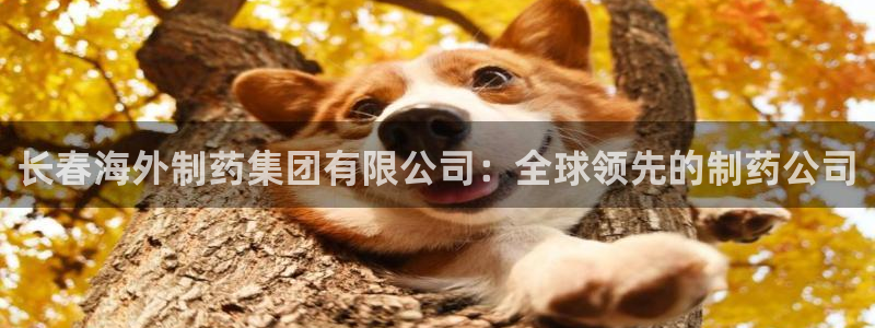 j9九游会老哥俱乐部交流区：长春海外制药集团有限公司：全球领先的制药公司