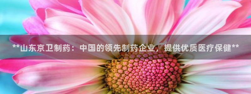 九游会老哥必备的交流社区：**山东京卫制药：中国的领先制药企业，提供优质医疗保健**