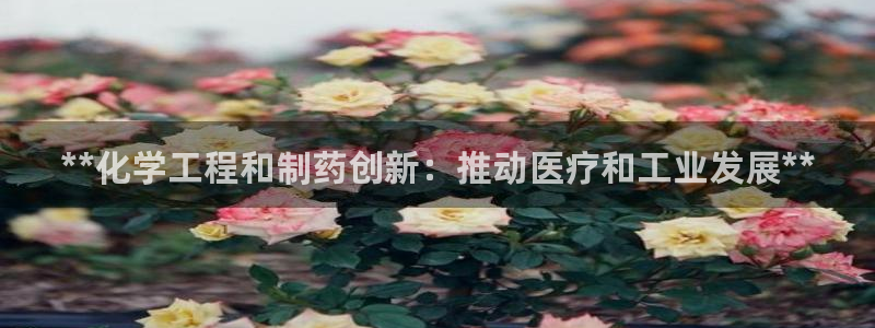 九游老哥俱乐部官网登录不了：**化学工程和制药创新：推动医疗和工业发展**