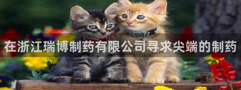 九游会老哥俱乐部官方网站：在浙江瑞博制药有限公司寻求尖端的制药