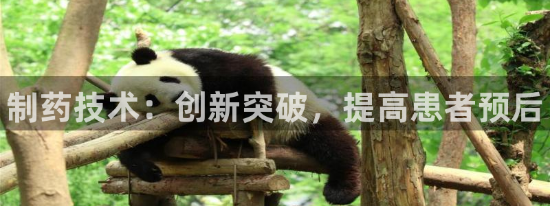 j9九游会老哥俱乐部交流区：制药技术：创新突破，提高患者预后