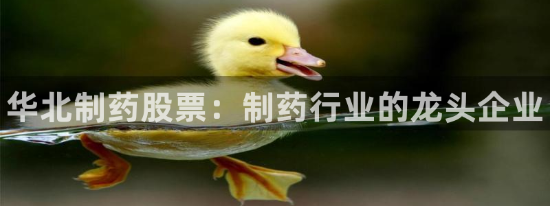 九游会老哥俱乐部官网首页：华北制药股票：制药行业的龙头企业