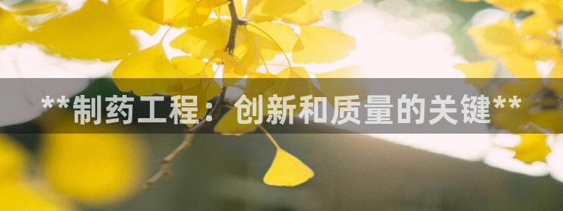 九游会老哥必备的交流社区：**制药工程：创新和质量的关键**