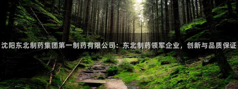 九游会老哥俱乐部官网：沈阳东北制药集团第一制药有限公司：东北制药领军企业，创新与品质保证