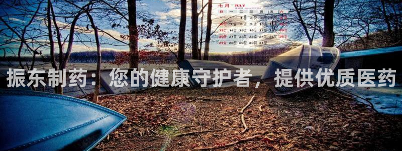 九游老哥俱乐部官网登录：振东制药：您的健康守护者，提供优质医药