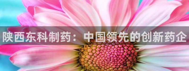 9游会老哥：陕西东科制药：中国领先的创新药企