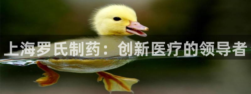 usdt九游会老哥俱乐部：上海罗氏制药：创新医疗的领导者