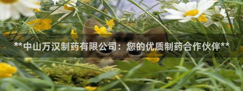 九游会老哥：**中山万汉制药有限公司：您的优质制药合作伙伴**