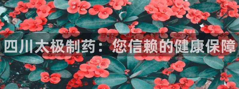 ag九游会老哥俱乐部：四川太极制药：您信赖的健康保障