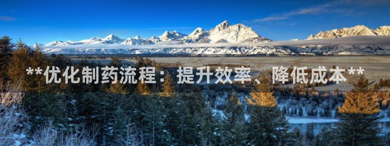 九游会老哥俱乐部官方网站：**优化制药流程：提升效率、降低成本**