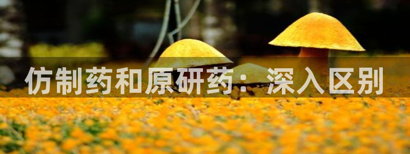九游会老哥必备的交流社区九：仿制药和原研药：深入区别
