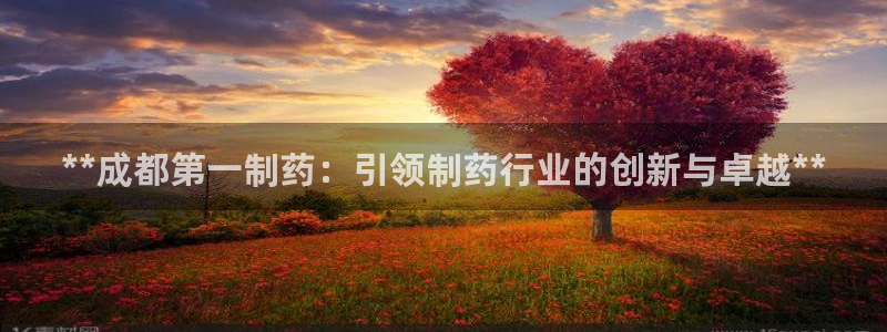 老哥俱乐部是干什么的：**成都第一制药：引领制药行业的创新与卓越**