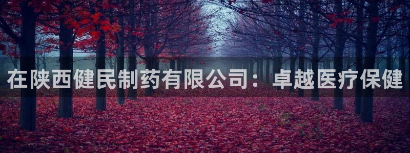 九游老哥俱乐部官网登录：在陕西健民制药有限公司：卓越医疗保健
