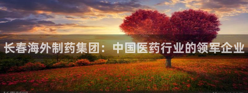 老哥吧九游会下架吗：长春海外制药集团：中国医药行业的领军企业