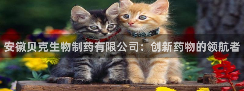 老哥俱乐部是干什么的：安徽贝克生物制药有限公司：创新药物的领航者