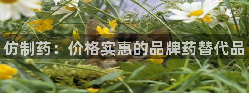 九游会老哥俱乐部官网首页：仿制药：价格实惠的品牌药替代品