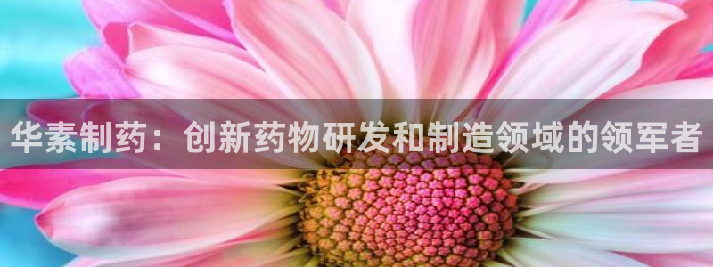 ag九游会老哥：华素制药：创新药物研发和制造领域的领军者