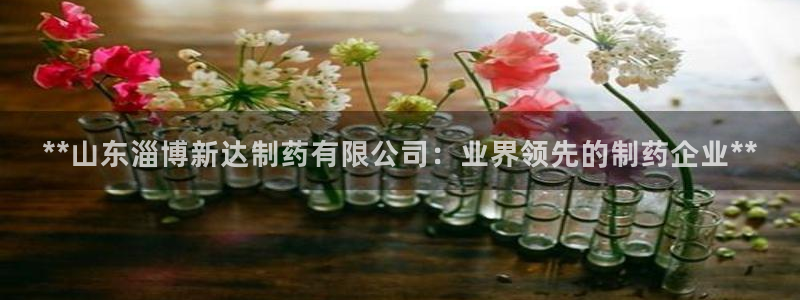 九游会老哥：**山东淄博新达制药有限公司：业界领先的制药企业**