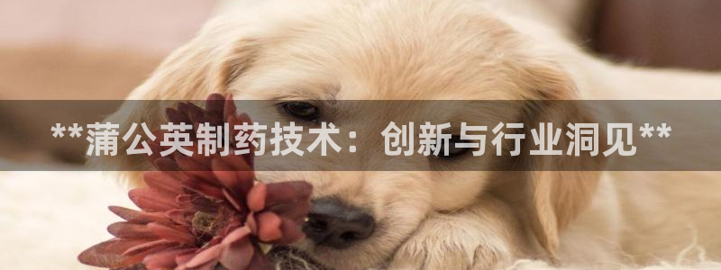 九游会老哥俱乐部必备的交流社区：**蒲公英制药技术：创新与行业洞见**