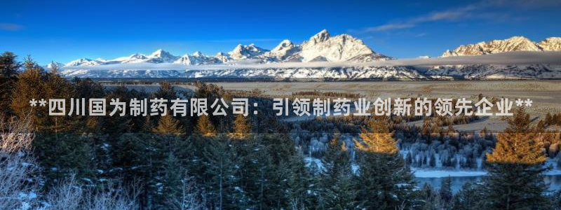 九游会老哥俱乐部官网首页：**四川国为制药有限公司：引领制药业创新的领先企业**
