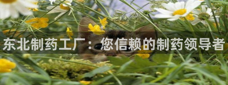 九游老哥俱乐部登录：东北制药工厂：您信赖的制药领导者