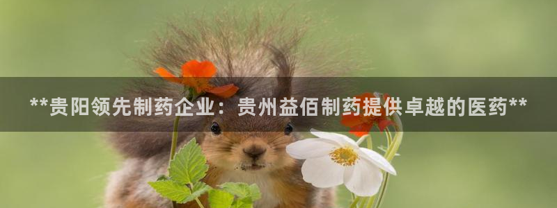 九游会老哥：**贵阳领先制药企业：贵州益佰制药提供卓越的医药**