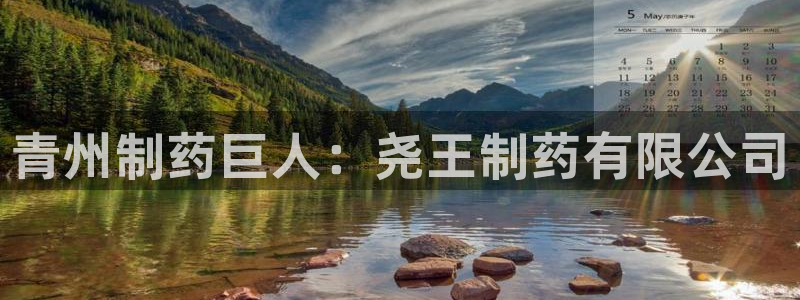 usdt九游会老哥俱乐部：青州制药巨人：尧王制药有限公司