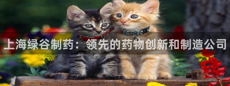 九游会老哥：上海绿谷制药：领先的药物创新和制造公司