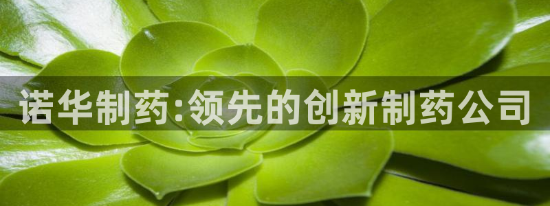 九游会老哥俱乐部交流社区：诺华制药:领先的创新制药公司