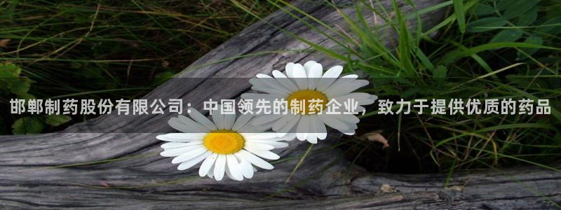 九游老哥俱乐部登录：邯郸制药股份有限公司：中国领先的制药企业，致力于提供优质的药品