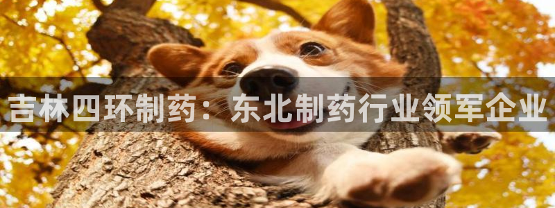 老哥吧九游会：吉林四环制药：东北制药行业领军企业