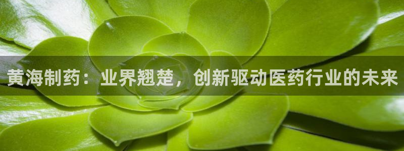九游老哥俱乐部登录：黄海制药：业界翘楚，创新驱动医药行业的未来