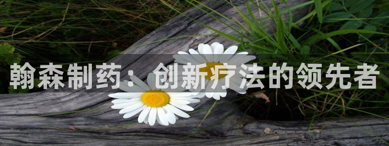 九游老哥俱乐部官网登录：翰森制药：创新疗法的领先者
