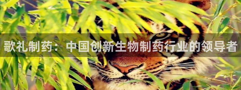 老哥吧九游会：歌礼制药：中国创新生物制药行业的领导者