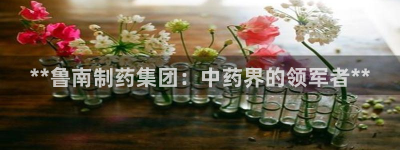九游会老哥俱乐部交流社区：**鲁南制药集团：中药界的领军者**