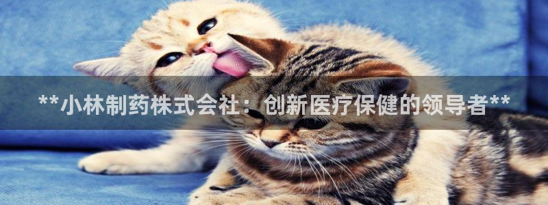 9游会老哥：**小林制药株式会社：创新医疗保健的领导者**