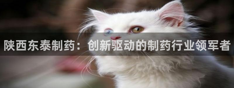 j9九游会老哥俱乐部交流区：陕西东泰制药：创新驱动的制药行业领军者