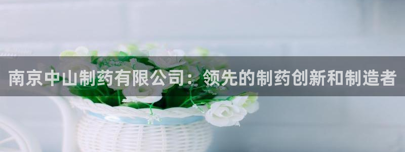 九游老哥俱乐部官网登录入口：南京中山制药有限公司：领先的制药创新和制造者