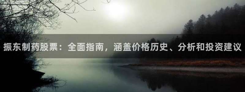 九游会老哥俱乐部官网：振东制药股票：全面指南，涵盖价格历史、分析和投资建议
