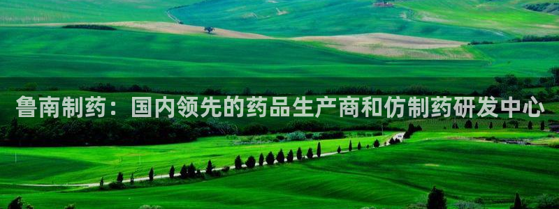 老哥俱乐部是干什么的：鲁南制药：国内领先的药品生产商和仿制药研发中心