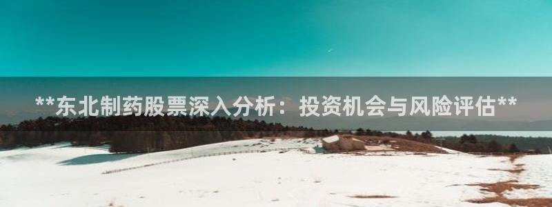 老哥吧九游会：**东北制药股票深入分析：投资机会与风险评估**