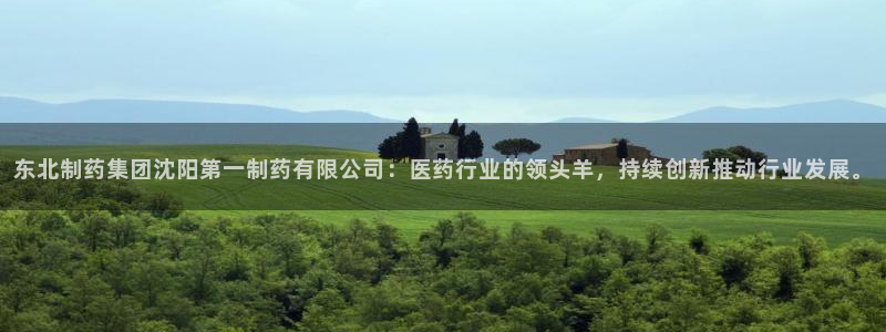 九游会老哥：东北制药集团沈阳第一制药有限公司：医药行业的领头羊，持续创新推动行业发展。