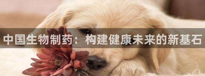 九游老哥俱乐部官网登录：中国生物制药：构建健康未来的新基石