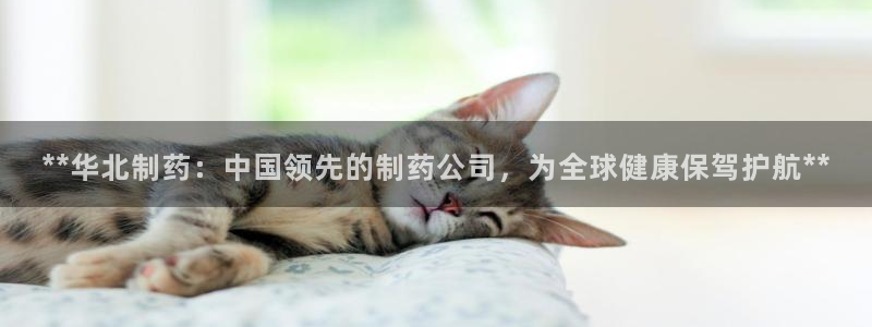 九游老哥俱乐部官网登录：**华北制药：中国领先的制药公司，为全球健康保驾护航**