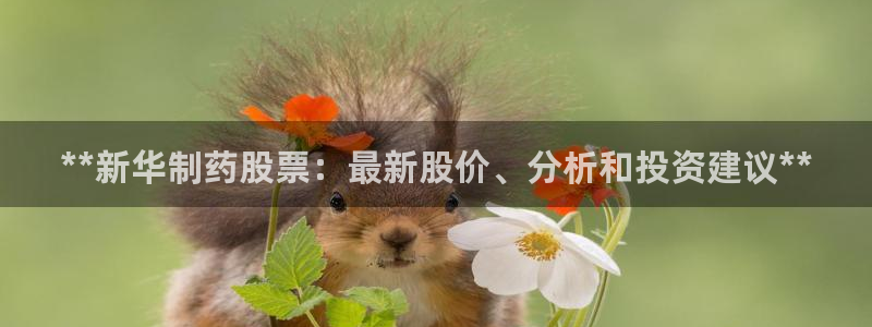 九游会老哥俱乐部社区论坛：**新华制药股票：最新股价、分析和投资建议**